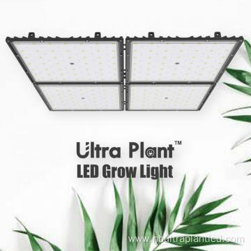 Full spectrum high efficacy white grow light